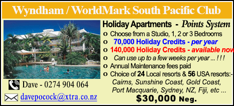 Wyndham Vacation Resorts - $30000