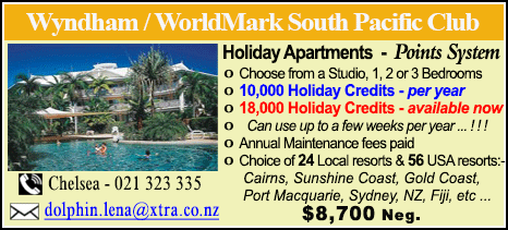 Wyndham Vacation Resorts - $8700